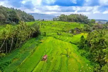 Ubud - E-Bike Tours in Bali