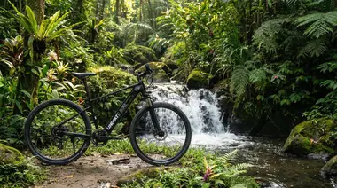 E-Bike Tours in Bali: Costs, Routes, and Unforgettable Adventures on Two Wheels