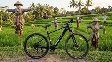 Discover Ubud's Rice Fields by eBike: The Ultimate Tour for Beginners and Adventurers