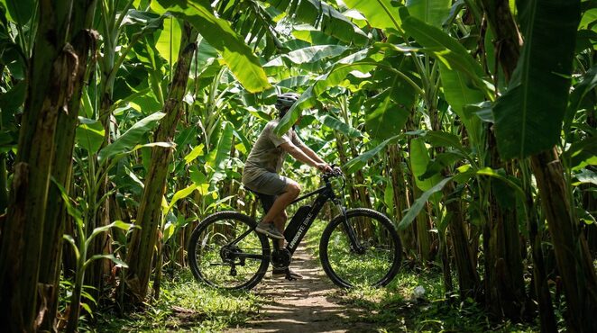 The Magic of Bali on Two Wheels: An Unforgettable E-Bike Tour Through Ubud's Rice Fields