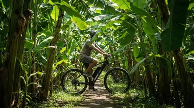 The Magic of Bali on Two Wheels: An Unforgettable E-Bike Tour Through Ubud's Rice Fields