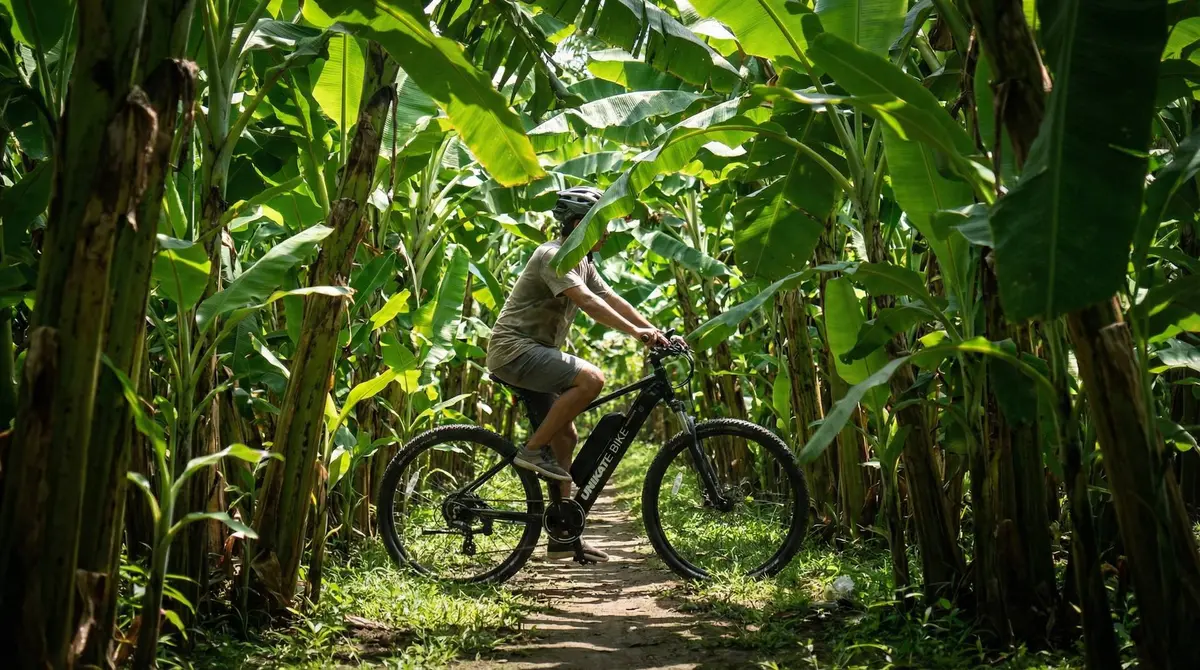 Gianyar E-Bike Tour: Discover Bali's Rice Fields and Waterfalls on Two Wheels — UNIKAT E-Bike Bali Blog
