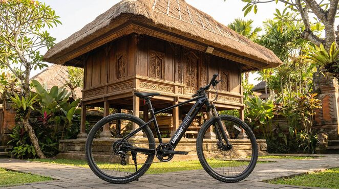 Ubud on Two Wheels: Discover Bali's Rice Fields with the E-Bike – Your Guide for Beginners
