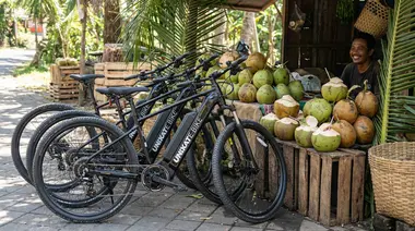 Ubud on Two Wheels: The Best E-Bike Tour Through Bali's Rice Fields