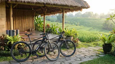 Discover Bali's Hidden Treasures: A Relaxing E-Bike Tour Through Rice Fields and Culture