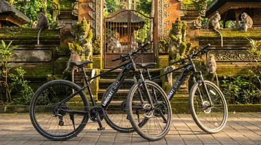 Bali's Hidden Treasures: An Unforgettable E-Bike Tour Through Ubud's Rice Fields
