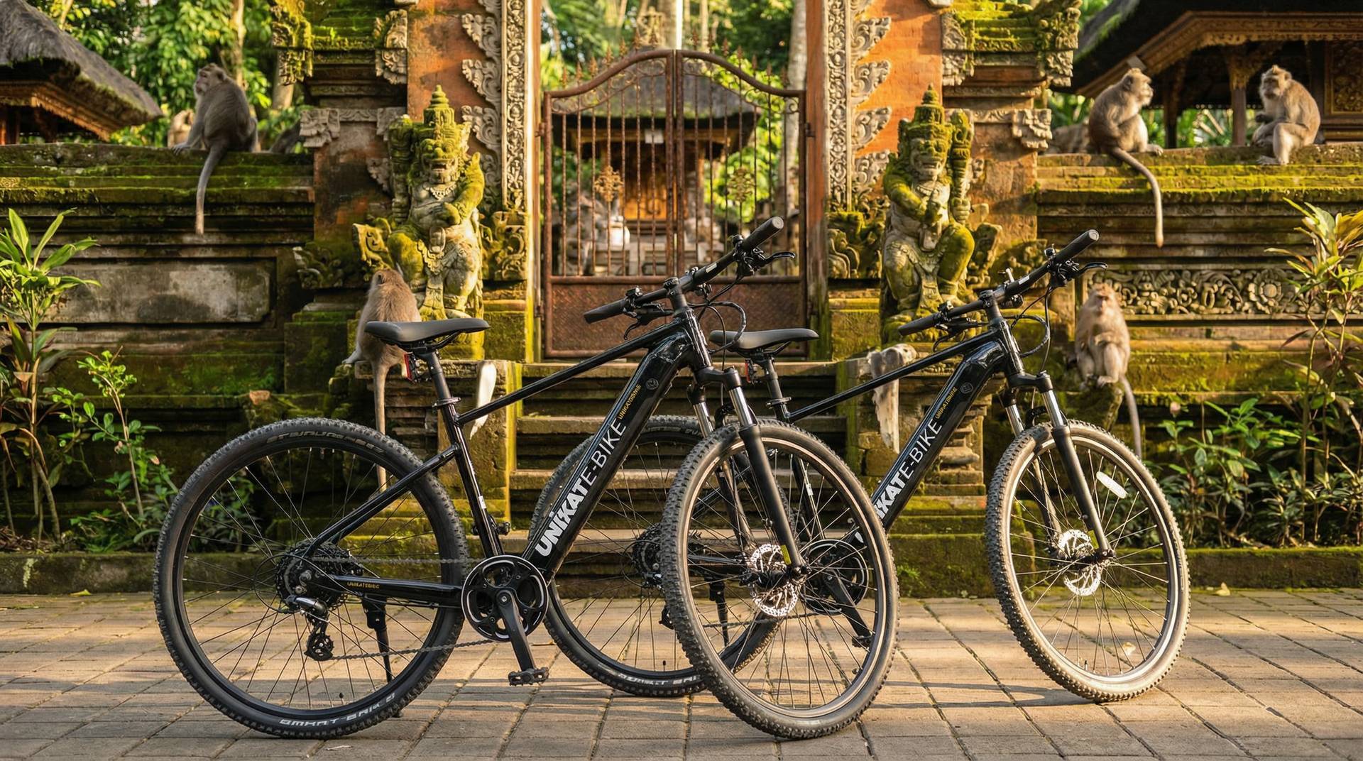 Discover Ubud's Rice Fields by eBike: The Perfect Morning Tour for Beginners ā UNIKAT E-Bike Bali Blog