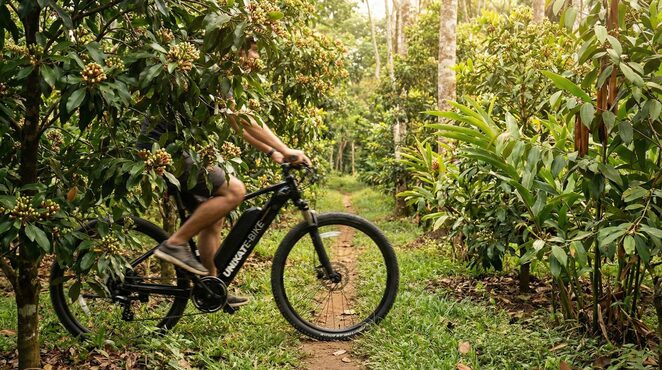 The Best E-Bike Tours in Ubud: Discover Rice Fields & Villages on Two Wheels