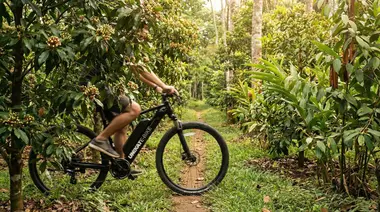 The Best E-Bike Tours in Ubud: Discover Rice Fields & Villages on Two Wheels