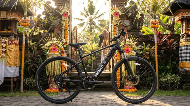 The Best E-Bike Tours in Ubud: Discover Bali's Rice Fields with Ease
