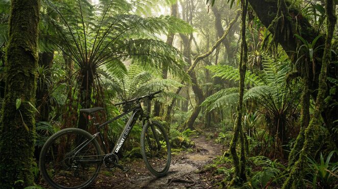 The Magic of Bali on the eBike: Unforgettable Tours through Rice Fields and Villages