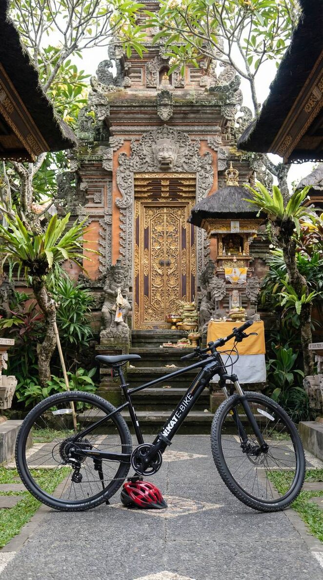 Discover Bali's Hidden Treasures: An Unforgettable E-Bike Tour Through Ubud's Rice Fields