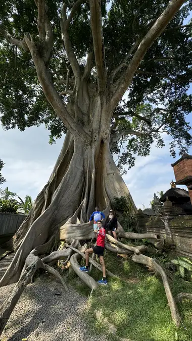 Top 10 Places to Visit by E-Bike in Bali — The Ultimate Cycling Guide (2025/2026)