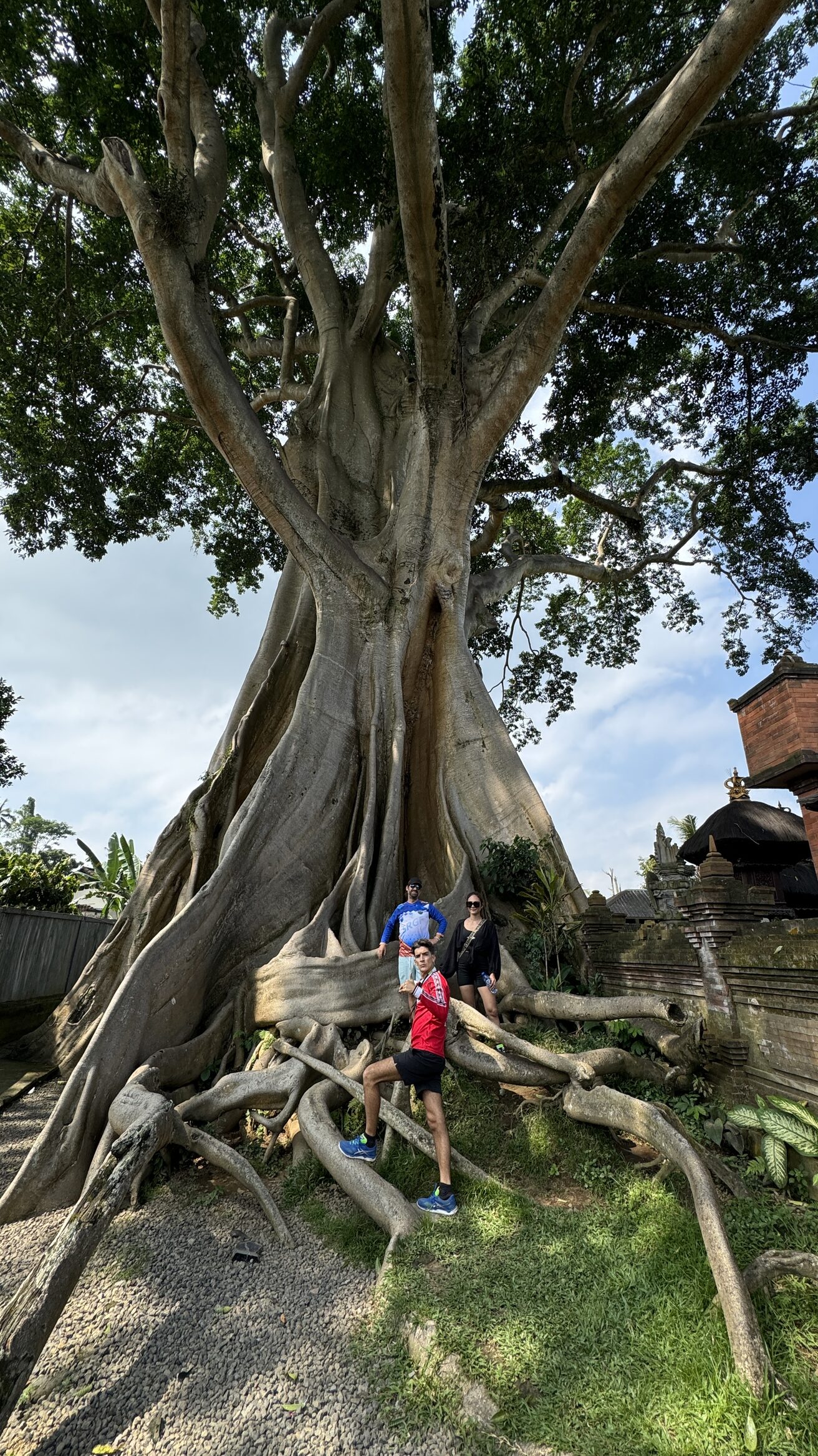Top 10 Places to Visit by E-Bike in Bali — The Ultimate Cycling Guide (2025/2026) — UNIKAT E-Bike Bali Blog