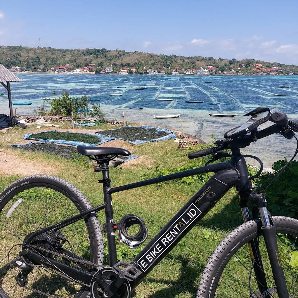 UNIKAT e-bike overlooking traditional seaweed farms on Nusa Lembongan - sustainable island life