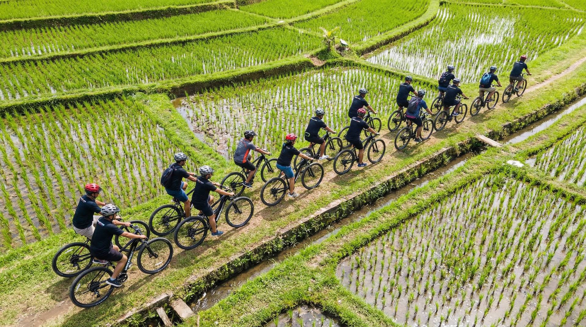 Corporate team riding e-bikes together in Bali